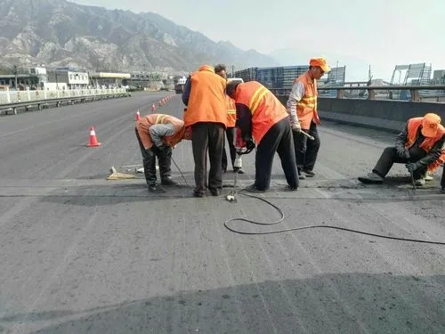 岭东道路桥梁病害治理